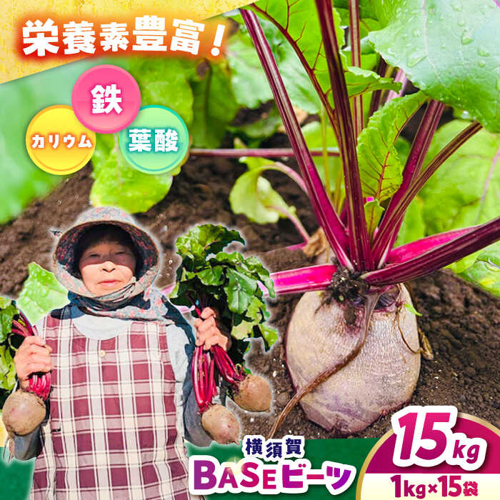 横須賀BASEビーツ 15kg（1kg×15袋）【ゆり子ファーム】ビーツ 横須賀野菜 野菜 びーつ ゆり子ファーム 農園 [AKCR013]
