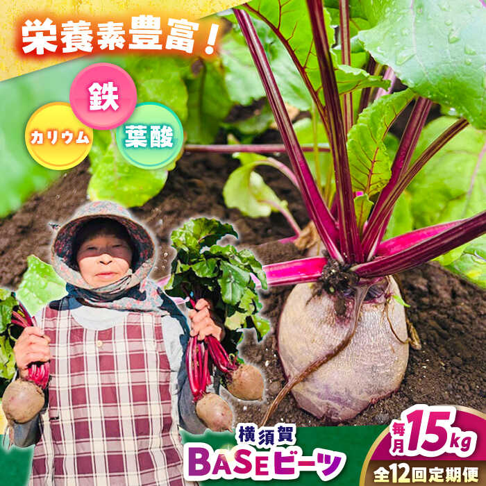 【全12回定期便】横須賀BASEビーツ 15kg（1kg×15袋）【ゆり子ファーム】ビーツ 横須賀野菜 野菜 びーつ ゆり子ファーム 農園 [AKCR016]