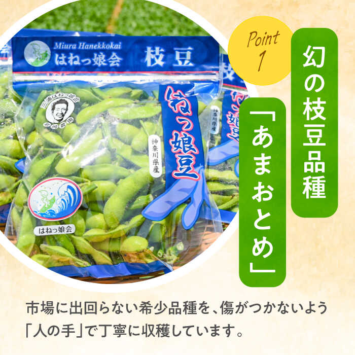 【ふるさと納税】【先行予約】【数量限定100セット】はねっ娘枝豆 1.5kg（300g×5袋）神奈川 横須賀 枝豆 冷蔵 農家直送 新鮮 あまおとめ 濃厚 えだまめ エダマメ　【有限会社岩崎ファーム】[AKCZ001] - 画像3