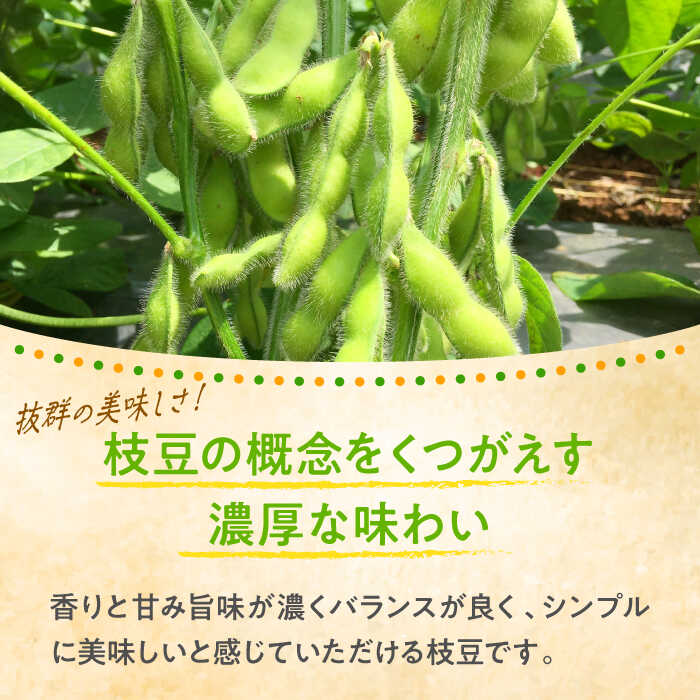 【ふるさと納税】【先行予約】【数量限定100セット】はねっ娘枝豆 3kg（300g×10袋）神奈川 横須賀 枝豆 冷蔵 農家直送 新鮮 幻 希少 あまおとめ 濃厚 えだまめ エダマメ【有限会社岩崎ファーム】[AKCZ002] 20000円 2万円 - 画像2