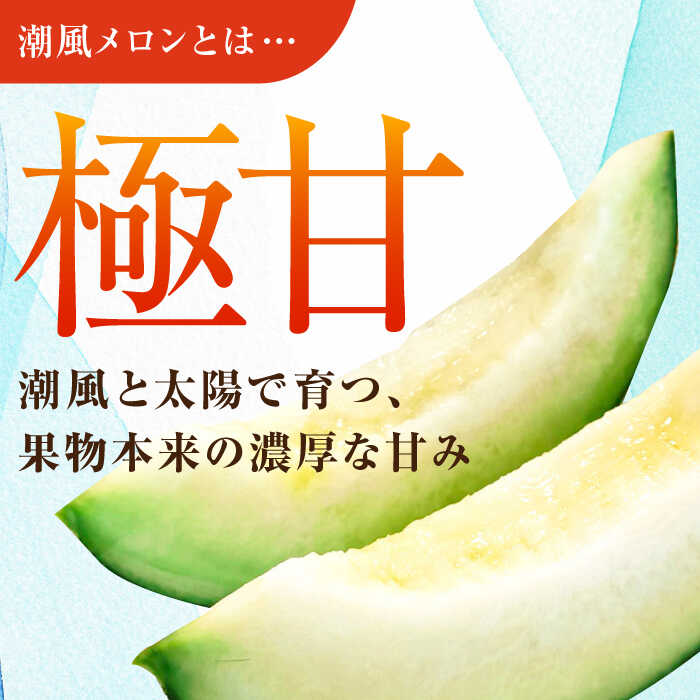 【ふるさと納税】【先行予約】【数量限定50セット】よこすか潮風メロン 大玉4L 2玉セット 計約3kg 【井上農園】めろん メロン くだもの 果物 ネットメロン 贈答 ギフト フルーツ ふるーつ 大玉メロン [AKDJ001] サムネイル2