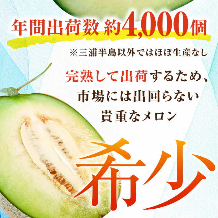 【ふるさと納税】【先行予約】【数量限定50セット】よこすか潮風メロン 大玉4L 2玉セット 計約3kg 【井上農園】めろん メロン くだもの 果物 ネットメロン 贈答 ギフト フルーツ ふるーつ 大玉メロン [AKDJ001] サムネイル3