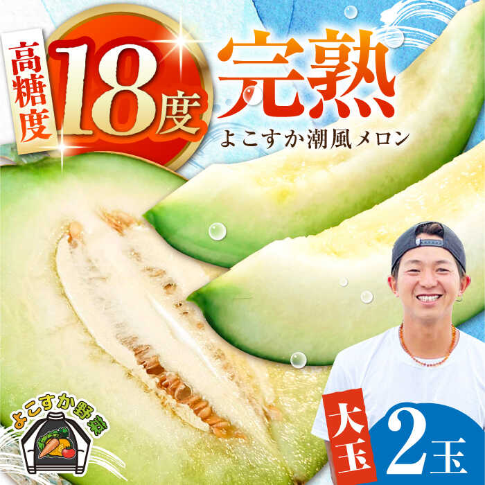 【先行予約】【数量限定50セット】よこすか潮風メロン 大玉4L 2玉セット 計約3kg 【井上農園】めろん メロン くだもの 果物 ネットメロン 贈答 ギフト フルーツ ふるーつ 大玉メロン [AKDJ001]
