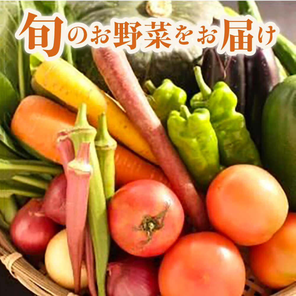 【ふるさと納税】横須賀産野菜セット 10種 詰め合わせ【横須賀商工会議所 おもてなしギフト事務局（三浦半島直売所）】野菜 セット 詰め合わせ 横須賀 横須賀野菜 キャベツ 玉ねぎ ブロッコリー なす にんじん きゅうり さつまいも 里芋 ゴーヤ 大根 ほうれん草 [AKES003] - 画像2