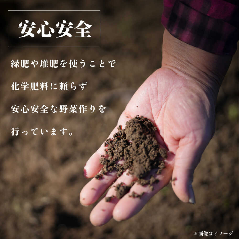 【ふるさと納税】横須賀産野菜セット 10種 詰め合わせ【横須賀商工会議所 おもてなしギフト事務局（三浦半島直売所）】野菜 セット 詰め合わせ 横須賀 横須賀野菜 キャベツ 玉ねぎ ブロッコリー なす にんじん きゅうり さつまいも 里芋 ゴーヤ 大根 ほうれん草 [AKES003] - 画像3