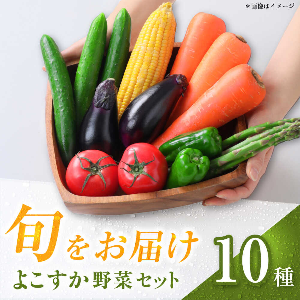 横須賀産野菜セット 10種 詰め合わせ【横須賀商工会議所 おもてなしギフト事務局（三浦半島直売所）】野菜 セット 詰め合わせ 横須賀 横須賀野菜 キャベツ 玉ねぎ ブロッコリー なす にんじん きゅうり さつまいも 里芋 ゴーヤ 大根 ほうれん草 [AKES003]