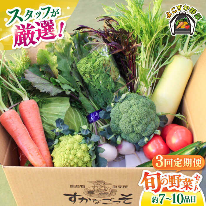 【全3回定期便】よこすか野菜セット すかなボックス 野菜 お野菜 季節野菜 やさい 詰め合わせ 詰合せ セット お楽しみ 産地直送 旬 厳選 すかなごっそ 農産物 神奈川県 横須賀市 【JAよこすか葉山】[AKFO007]