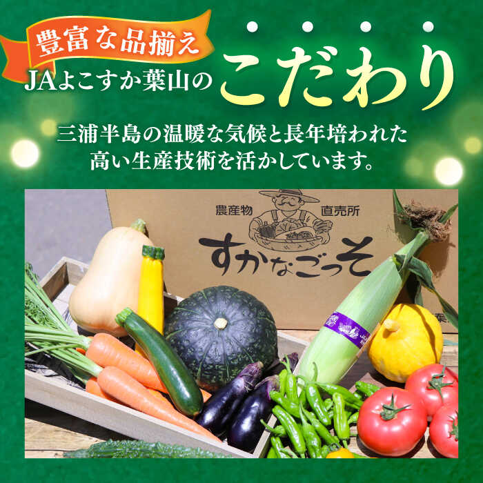 【ふるさと納税】【全6回定期便】よこすか野菜セット すかなボックス 野菜 お野菜 季節野菜 やさい 詰め合わせ 詰合せ セット お楽しみ 産地直送 旬 厳選 すかなごっそ 農産物 神奈川県 横須賀市 【JAよこすか葉山】[AKFO008] - 画像2