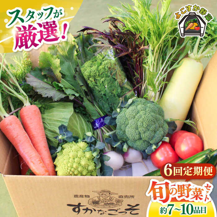 【全6回定期便】よこすか野菜セット すかなボックス 野菜 お野菜 季節野菜 やさい 詰め合わせ 詰合せ セット お楽しみ 産地直送 旬 厳選 すかなごっそ 農産物 神奈川県 横須賀市 【JAよこすか葉山】[AKFO008]