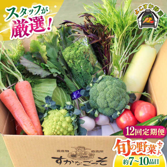 【全12回定期便】よこすか野菜セット すかなボックス 野菜 お野菜 季節野菜 やさい 詰め合わせ 詰合せ セット お楽しみ 産地直送 旬 厳選 すかなごっそ 農産物 神奈川県 横須賀市 【JAよこすか葉山】[AKFO009]