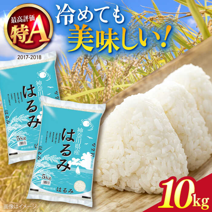 【数量限定100セット】令和7年産 お米 はるみ 10kg 米 お米 こめ おこめ 白米 コメ さっぱり 粘り うま味 精米 はるみ 10キロ 神奈川県 神奈川【株式会社ヨコショク】[AKGC002]