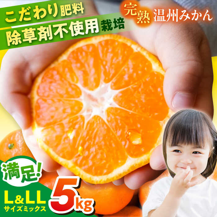 【嬉しい年末発送】【先行予約】【数量限定300セット】温州みかん Lサイズ＆LLサイズ 5kg みかん 蜜柑 ミカン 果物 柑橘 フルーツ 横須賀 農園みかん 温州みかん 温州ミカン 【志村農園】[AKGH008]