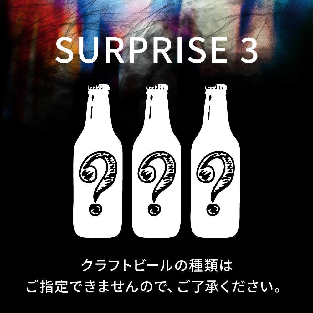 クラフトビール おまかせ3本セット SURPRISE 3【GRANDLINE BREWING】[AKGM005]