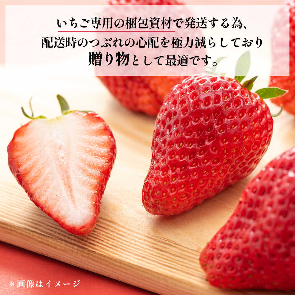 【ふるさと納税】【先行予約】【数量限定100セットずつ】【選べるパック数・内容量】いちご 約450g〜約900g【いちごはうす西脇】[AKHO001] サムネイル3
