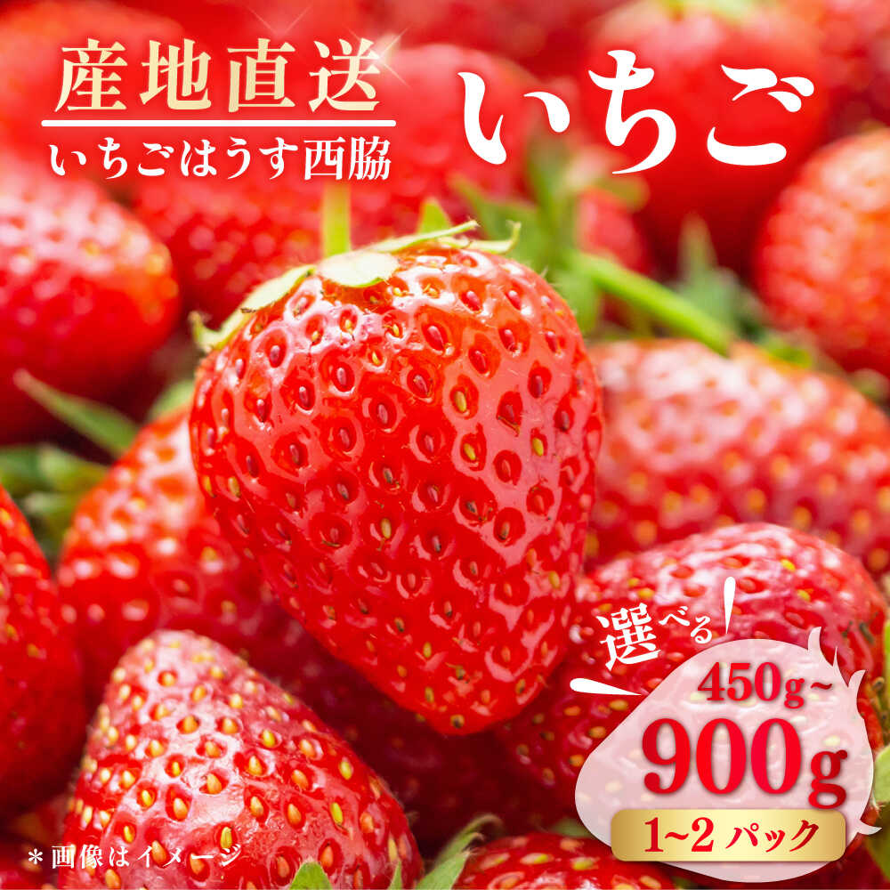 【先行予約】【数量限定100セットずつ】【選べるパック数・内容量】いちご 約450g〜約900g【いちごはうす西脇】[AKHO001]