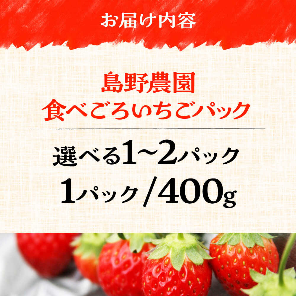【ふるさと納税】【先行予約】【選べるパック数】【数量限定】島野農園のいちご 400g×1パック or 400g×2パック 紅ほっぺ ほしうらら スターナイト いちご イチゴ 苺 くだもの フルーツ 果物【島野農園】[AKHV001] サムネイル3