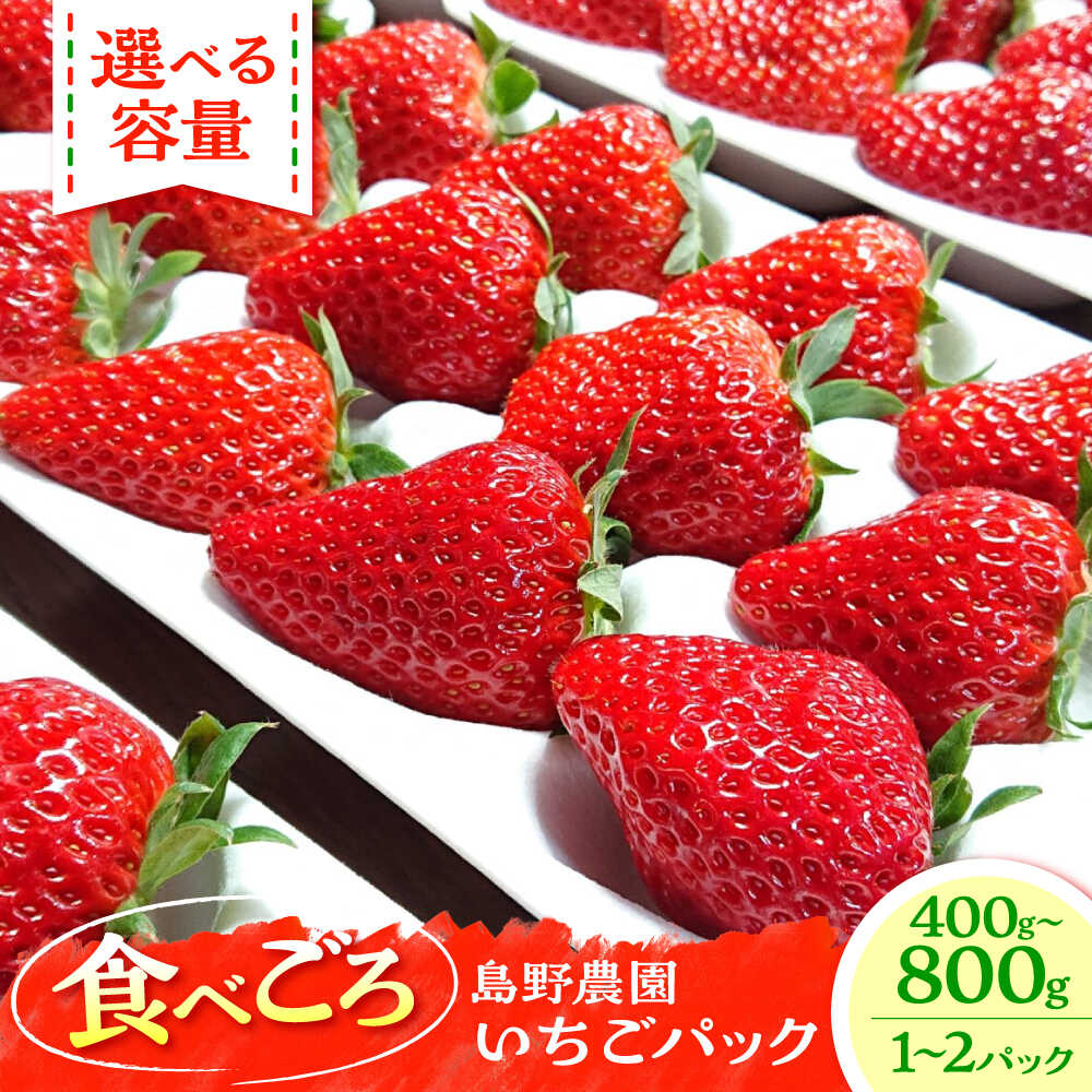 【先行予約】【選べるパック数】【数量限定】島野農園のいちご 400g×1パック or 400g×2パック 紅ほっぺ ほしうらら スターナイト いちご イチゴ 苺 くだもの フルーツ 果物【島野農園】[AKHV001]
