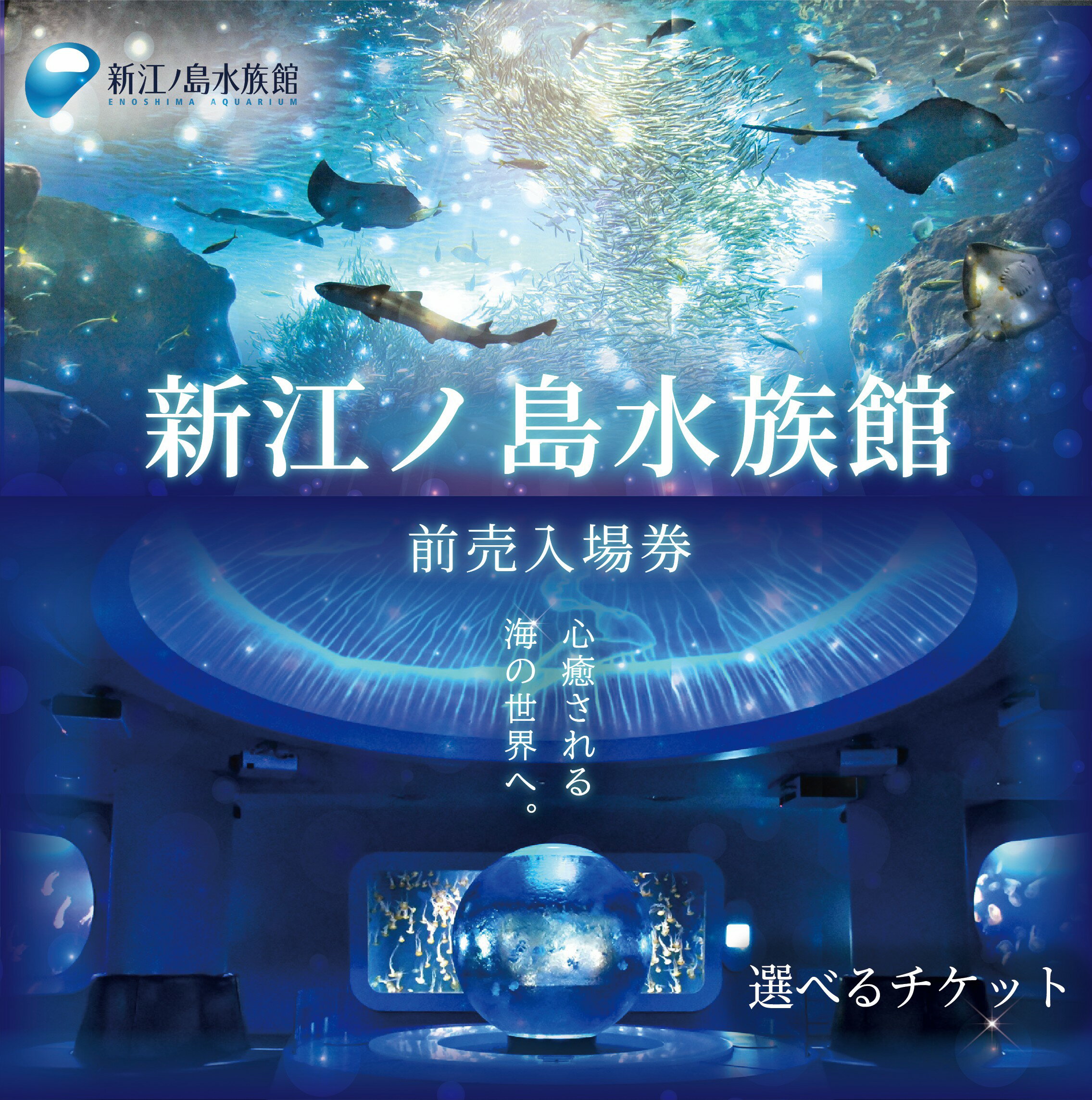 観光 水族館 新江ノ島水族館 チケット 前売 入場券 選べる チケット イルカショー 利用券 引換券 券 体験チケット 体験型 アクティビティ 入場券 前売り券 動物 家族 旅行 トラベル 関東 江の島 江ノ島 すいぞくかん レジャー 神奈川 湘南 藤沢