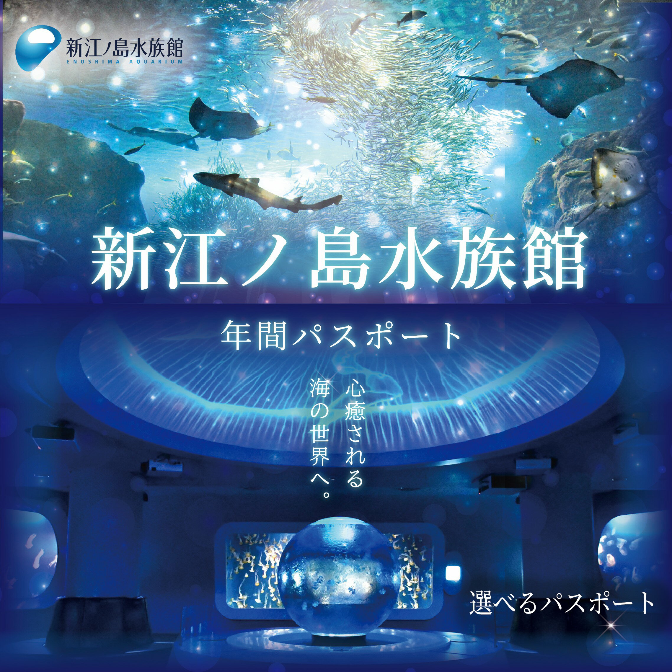 水族館 チケット 新江ノ島水族館 選べる 年間 パスポート 引換券 江ノ島 江の島 利用券 券 体験チケット イルカショー 体験型 アクティビティ 入場券 前売り券 お出かけ 旅行 観光 トラベル 関東 すいぞくかん レジャー 神奈川 湘南 藤沢