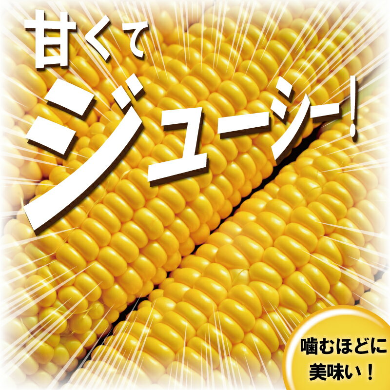 【ふるさと納税】 スイートコーン 3.6kg (9~11本) 朝採り とれたて とうもろこし トウモロコシ 先行予約 コーン 新鮮 ジューシー 甘い 美味い おやつ とうきび 国産 旬 夏野菜 野菜 やさい 冷蔵 農家直送 数量限定 産地直送 まめっぱ農園 神奈川 湘南 藤沢 - 画像3