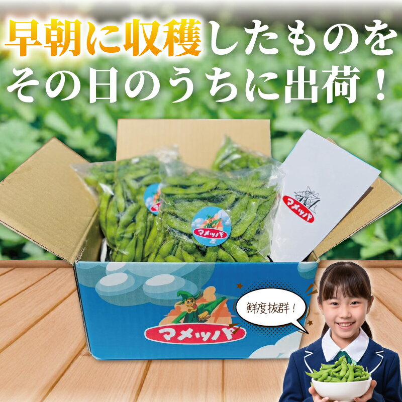 【ふるさと納税】 えだまめ 1.8kg 小分け 枝豆 小分け 朝採り とれたて 湘南産 先行予約 新鮮 豆 まめ edamame mame マメ えだ豆 エダマメ 個包装 便利 甘い 濃厚 旬 野菜 お酒 やさい 夏野菜 冷蔵 まめっぱ農園 神奈川 湘南 藤沢 - 画像2