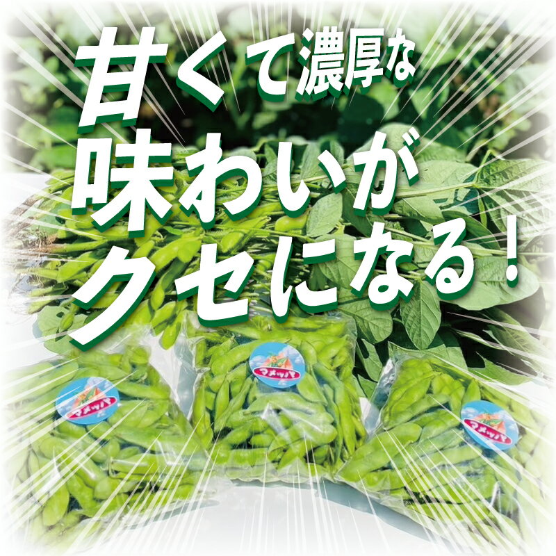 【ふるさと納税】 えだまめ 1.8kg 小分け 枝豆 小分け 朝採り とれたて 湘南産 先行予約 新鮮 豆 まめ edamame mame マメ えだ豆 エダマメ 個包装 便利 甘い 濃厚 旬 野菜 お酒 やさい 夏野菜 冷蔵 まめっぱ農園 神奈川 湘南 藤沢 - 画像3