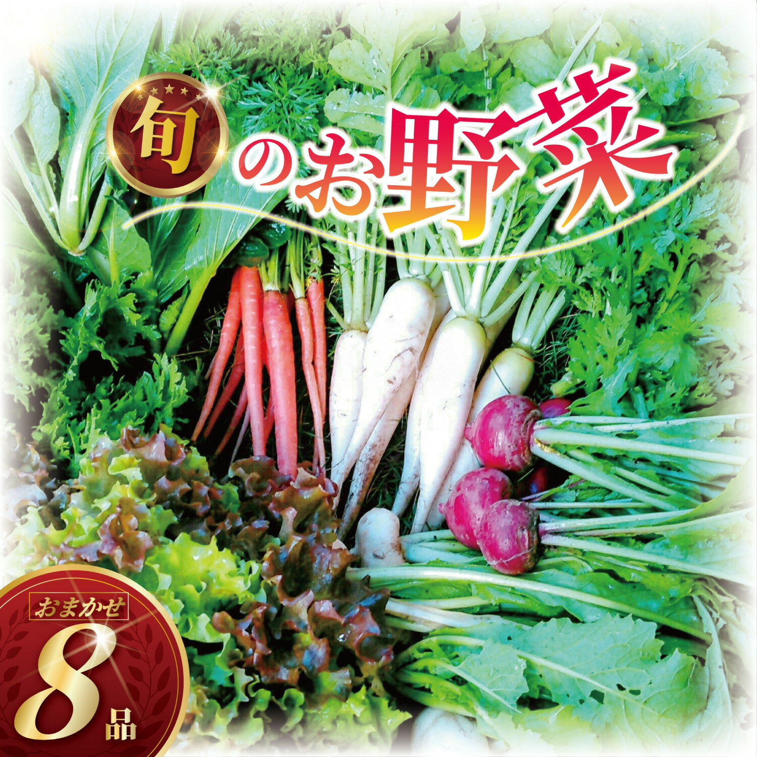 訳あり 旬 の 野菜セット 8品 種類おまかせ 旬 野菜 やさい yasai ヤサイ 野菜セット やさいセット 旬の野菜 お野菜 春野菜 夏野菜 秋野菜 冬野菜 不揃い おまかせ 訳アリ 訳あり品 わけあり 訳有 ワケアリ 数量限定 農家直送 産地直送 神奈川 湘南 藤沢
