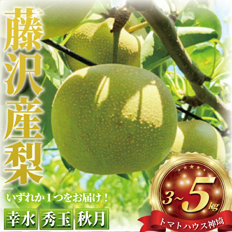 先行予約 2026年8月中旬より発送 梨 3kg ~ 5kg あきづき 幸水 秀玉 ナシ 新鮮 季節限定 フルーツ 果物 スイーツ くだもの なし nasi 人気品種 ナシ 日本梨 甘い 旬 贈答用 ギフト お中元 産地直送 農家直送 数量限定 トマトハウス神埼 神奈川 湘南 藤沢