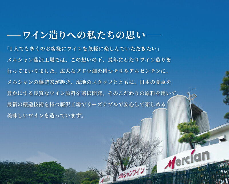 【ふるさと納税】 白ワイン 4本 セット 720ml ×4 フランジア FRANZIA 白 やや 辛口 フレッシュ フルーティー デイリーワイン ペットボトル 国産ワイン 藤沢ワイン 果実酒 葡萄 ワイン わいん wine お酒 酒 sake alcohol アルコール メルシャン 神奈川県 神奈川 湘南 藤沢 サムネイル3