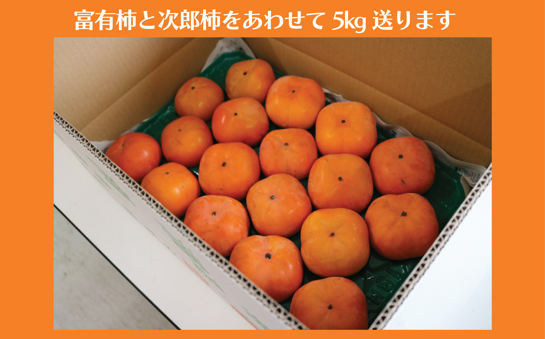 【ふるさと納税】 柿 富有柿 次郎柿 5kg 贈答用 品種おまかせ かき カキ もぎたて くだもの 果物 果実 フルーツ 旬 新鮮 先行予約 数量限定 産地直送 農家直送 健康 ビタミン 栄養 秋の味覚 おすすめ お取り寄せ プレゼント ギフト 贈り物 関根果樹園 神奈川 湘南 藤沢 サムネイル2