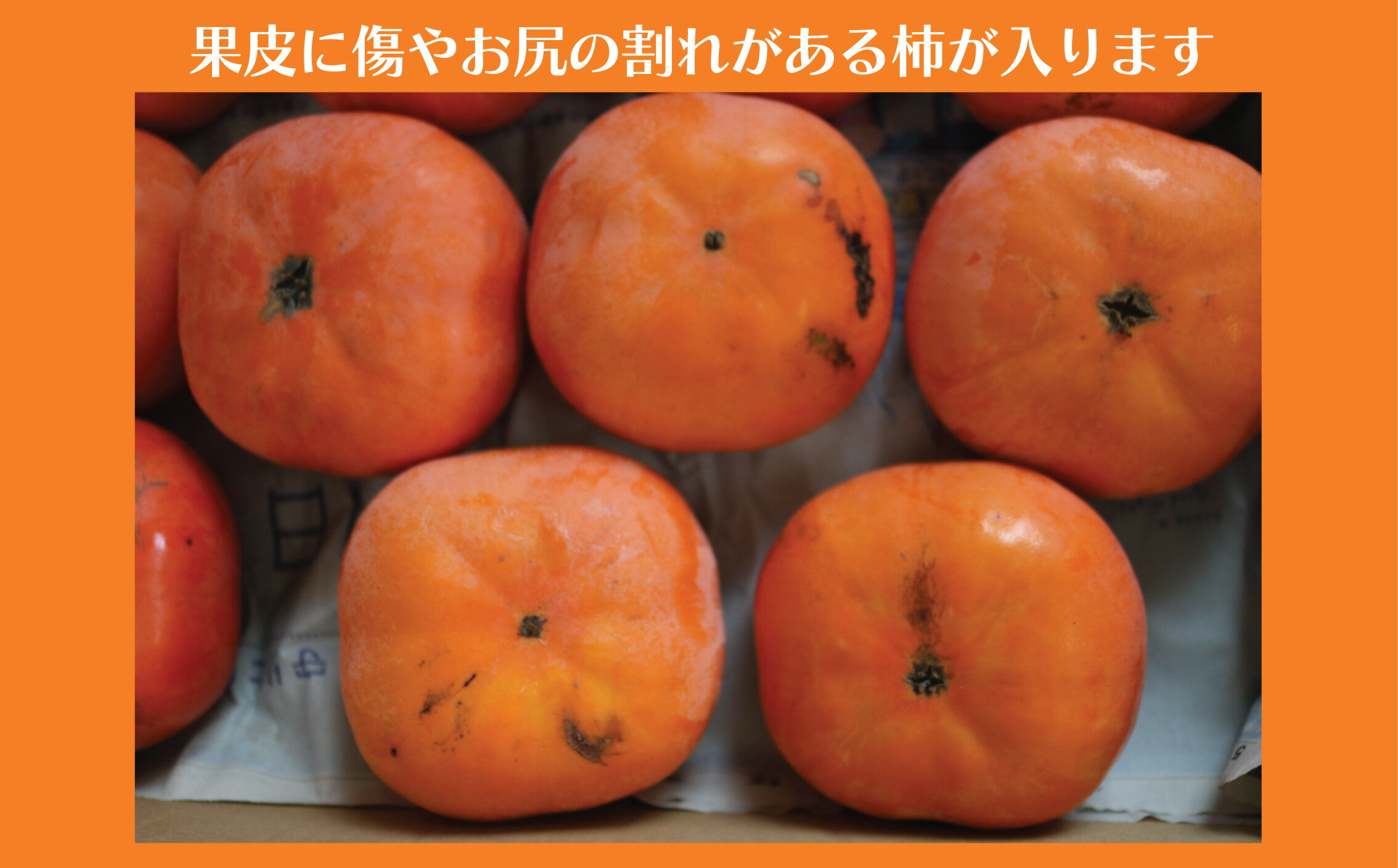【ふるさと納税】 柿 富有柿 次郎柿 5kg 品種おまかせ 訳あり 訳アリ わけあり かき カキ もぎたて くだもの 果物 果実 フルーツ 旬 新鮮 先行予約 数量限定 産地直送 農家直送 健康 ビタミン 栄養 ご 家庭用 お取り寄せ 50年間柿作り 関根果樹園 神奈川 湘南 藤沢 サムネイル2