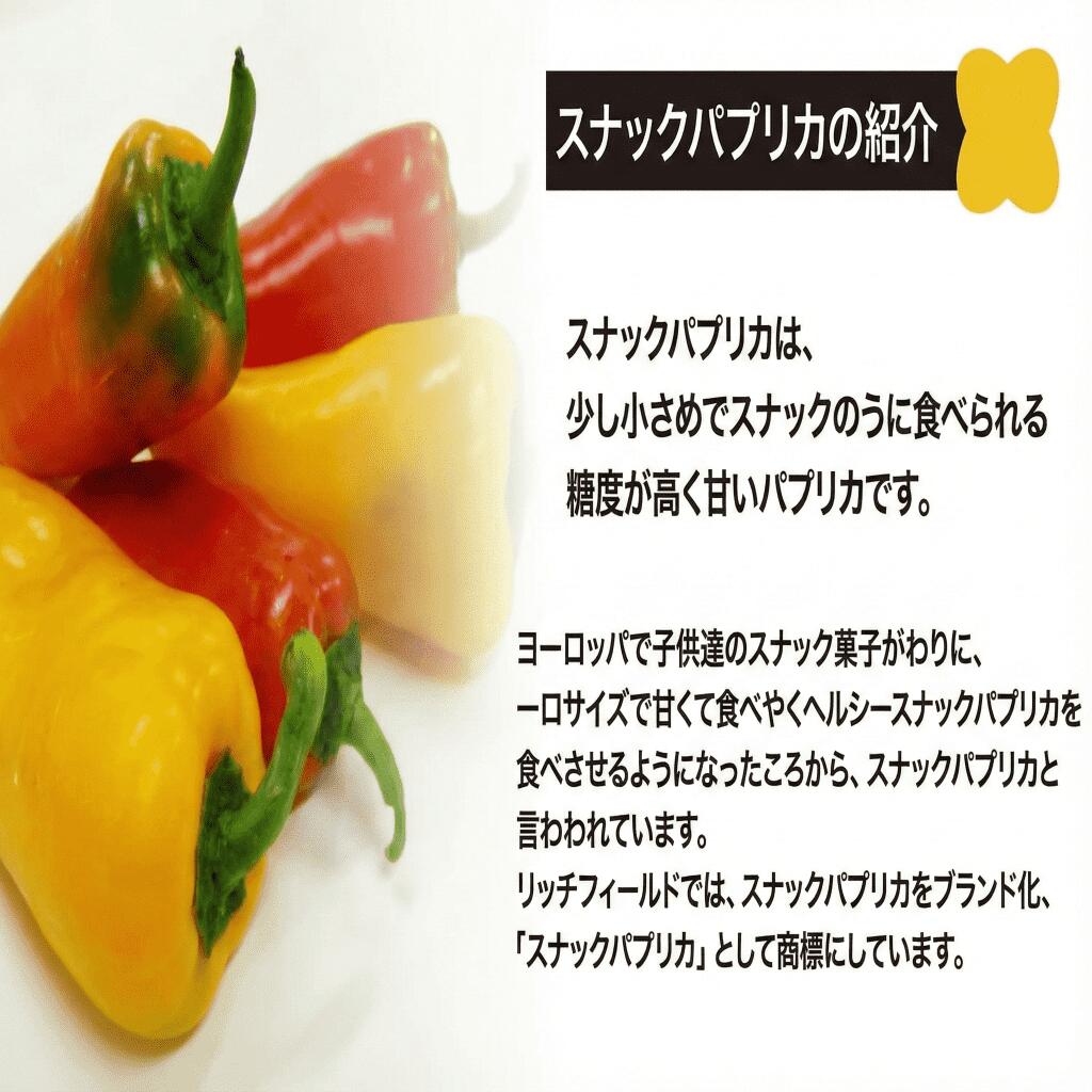 【ふるさと納税】 パプリカ 2kg 2~3種 バラエティ セット 品種 おまかせ 肉厚 特別栽培 新鮮 ジューシー 栄養 野菜 国産 GLOBALG.A.P.認証 レシピ ビタミン ラタトゥイユ お弁当 子ども カレー キーマカレー おやつ そのまま 贈答 リッチフィールド株式会社 湘南 藤沢 神奈川 - 画像3