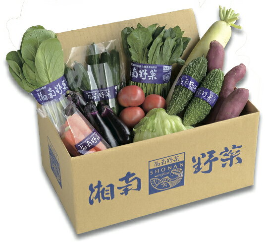 【ふるさと納税】 野菜 セット 旬 の 湘南野菜 おまかせ セット 10 〜 15品 お任せ 詰め合わせ 野菜セット やさい やさいセット yasai きゅうり トマト なす ねぎ さといも 小松菜 白菜 玉ねぎ とまと キュウリ ヤサイ yasai 旬の野菜セット 新鮮 数量限定 神奈川 湘南 藤沢 - 画像2