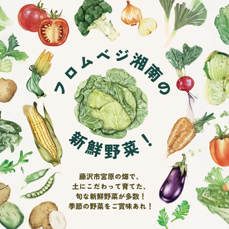 【ふるさと納税】 朝採れ 新鮮 野菜 セット 約 5kg 種類おまかせ 旬 やさい yasai ヤサイ 野菜セット やさいセット 旬の野菜 春野菜 夏野菜 秋野菜 冬野菜 おまかせ 数量限定 農家直送 産地直送 トマト さつまいも サツマイモ とうもろこし 神奈川 湘南 藤沢 フロムベジ湘南 - 画像2