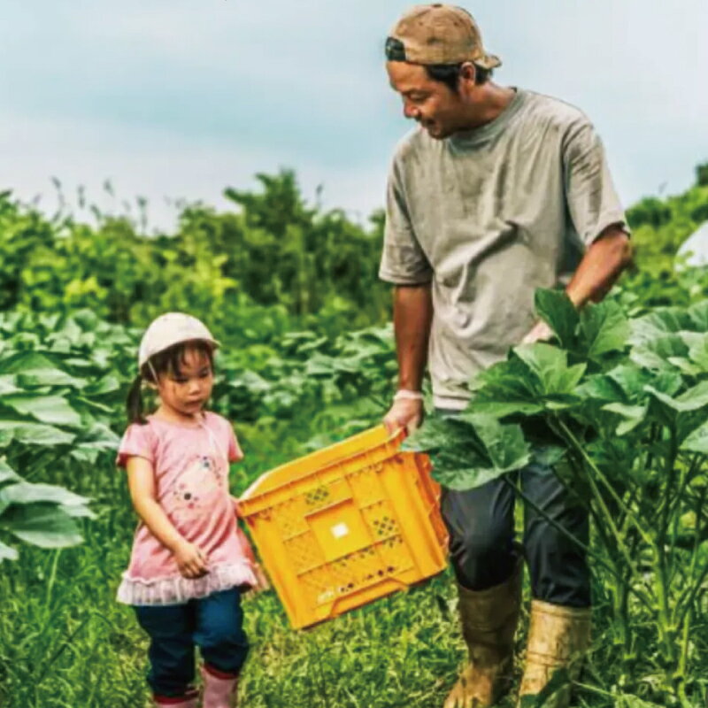 【ふるさと納税】 朝採れ 新鮮 野菜 セット 約 5kg 種類おまかせ 旬 やさい yasai ヤサイ 野菜セット やさいセット 旬の野菜 春野菜 夏野菜 秋野菜 冬野菜 おまかせ 数量限定 農家直送 産地直送 トマト さつまいも サツマイモ とうもろこし 神奈川 湘南 藤沢 フロムベジ湘南 - 画像3