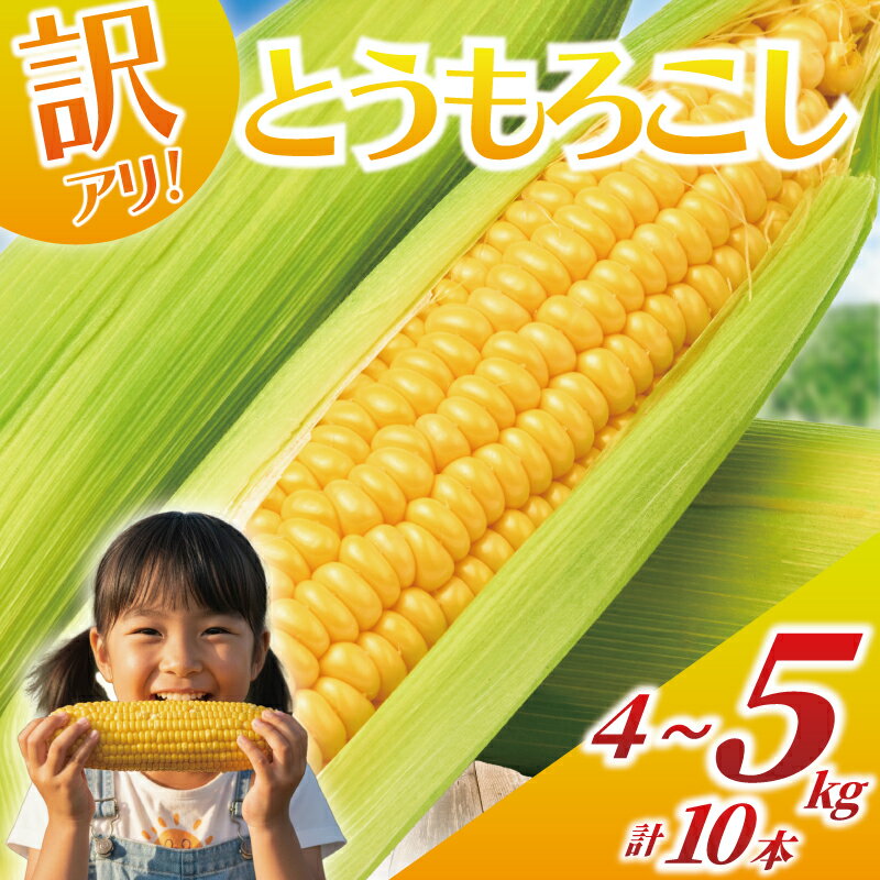訳あり とうもろこし 計 10本 約 4 〜 5kg おまかせ 雪の妖精 ミルフィーユ 訳アリ 訳有 朝採り とれたて トウモロコシ 先行予約 コーン 新鮮 とうきび 国産 野菜 やさい 不揃い 数量限定 農家直送 産地直送 神奈川 湘南 藤沢 フロムベジ湘南