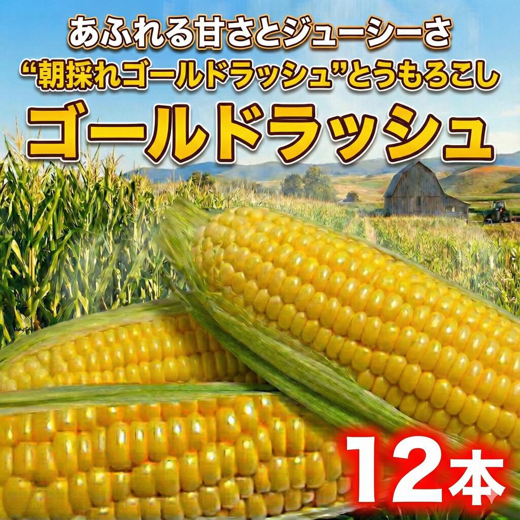 とうもろこし ゴールドラッシュ 12本 朝採り とれたて トウモロコシ 先行予約 コーン 新鮮 ジューシー こーん 美味い おやつ とうきび 国産 旬 夏野菜 野菜 やさい 数量限定 農家直送 産地直送 神奈川 湘南 藤沢 亀井農園
