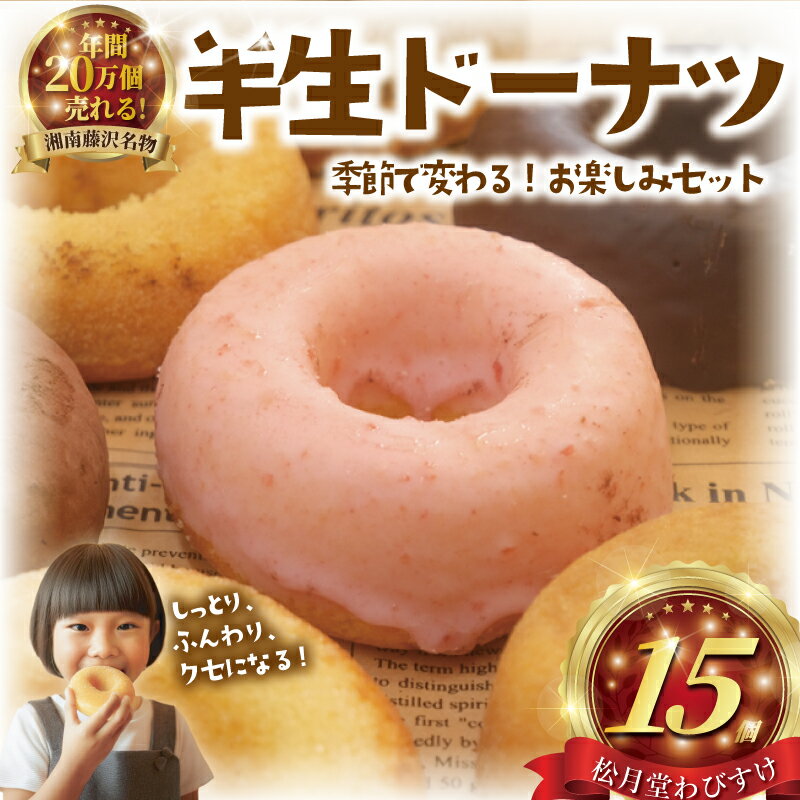 ドーナツ 半生ドーナツ 15個 湘南藤沢名物 お味おまかせ 菓子 お菓子 焼き菓子 スイーツ おやつ ケーキ DONUTS ドーナッツ どーなつ チョコ いちご 焼ドーナツ 人気 お取り寄せ 贈答 10000円 冷凍スイーツ 冷凍ケーキ 1万円 菓子 松月堂 神奈川 湘南 藤沢