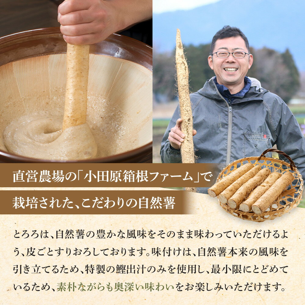 【ふるさと納税】解凍するだけでお店の味が楽しめる。自然薯味付とろろ100g×10pセット【とろろ 極上とろろ 山芋 箱根 お家用 家庭用 国産 セット商品 自然薯 味付とろろ 贈答品 神奈川県 小田原市 】 - 画像2