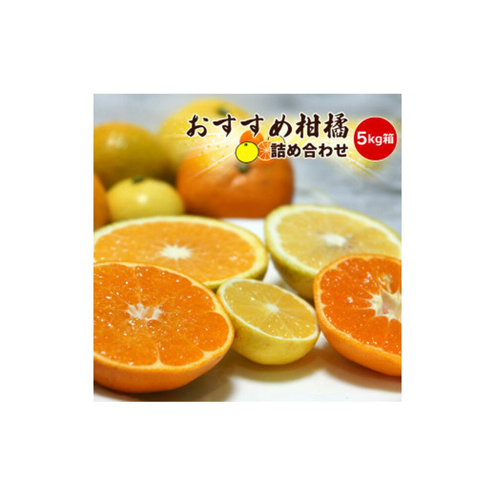 【先行予約】各月おすすめ柑橘詰め合わせ5kg箱＜出荷開始：2026年1月15日~4月25日＞【 フルーツ 神奈川県 小田原市 】