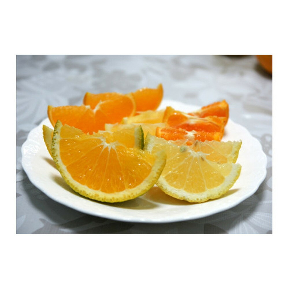 【ふるさと納税】【先行予約】各月おすすめ柑橘詰め合わせ5kg箱＜出荷開始：2026年1月15日~4月25日＞【 フルーツ 神奈川県 小田原市 】 サムネイル2