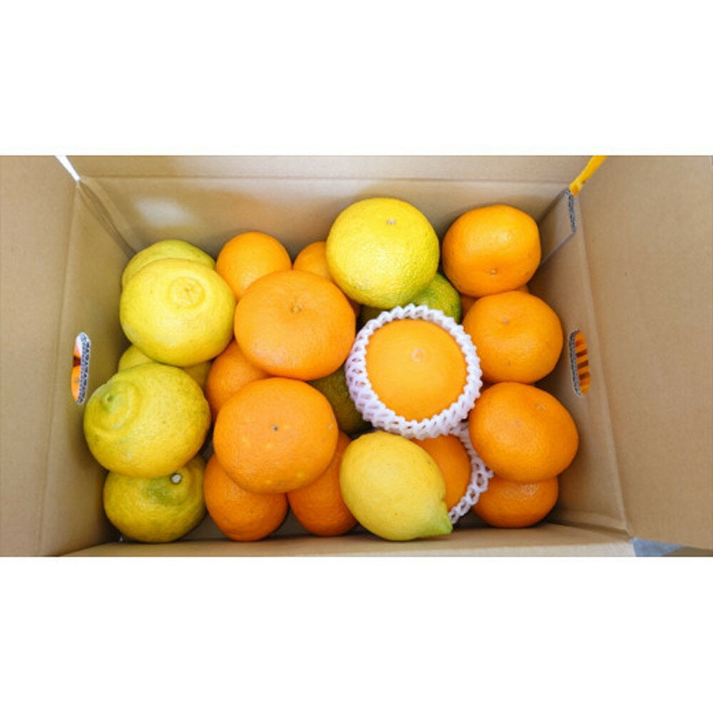 【ふるさと納税】【先行予約】各月おすすめ柑橘詰め合わせ5kg箱＜出荷開始：2026年1月15日~4月25日＞【 フルーツ 神奈川県 小田原市 】 サムネイル3