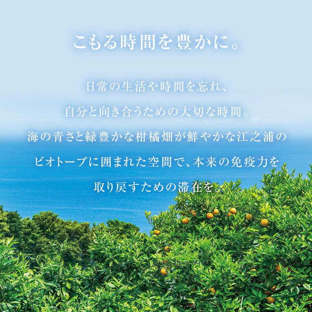 【ふるさと納税】江之浦リトリート凛門　商品券（10万円分）【江之浦 お食事 ご宿泊 10万円分商品券 プレゼント 旅行 お祝い 凛門 絵のように美しい海岸 複数枚同時利用可 ルフロ湯治 美しい江之浦 リトリートホテル 神奈川県 小田原市 】 サムネイル3