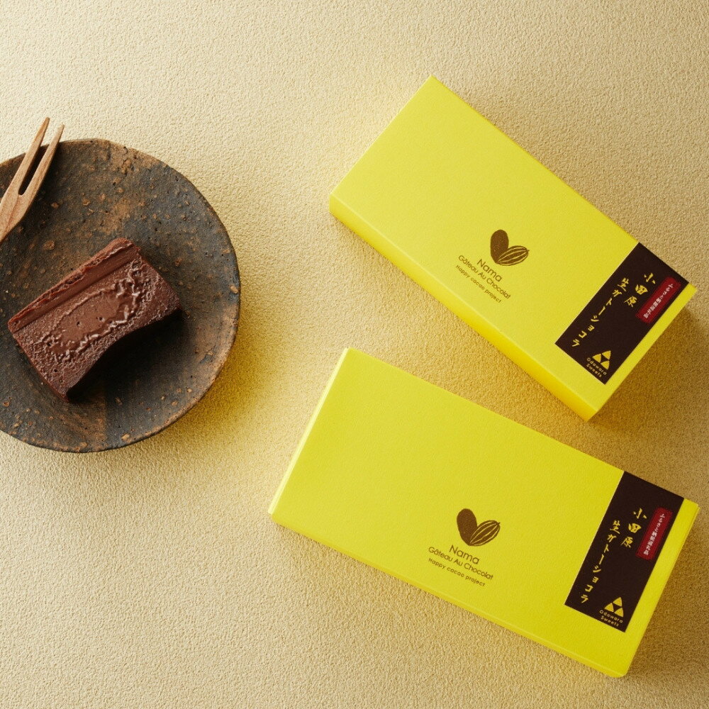 【ふるさと納税】極上の口溶け。幸せの生ガトーショコラ 450g 【 高級 濃厚 極上スイーツ グルテンフリー チョコ ショコラテリーヌ 高品質クーベルチュールチョコレート使用 一流シェフ 神奈川県 小田原市 】 サムネイル3