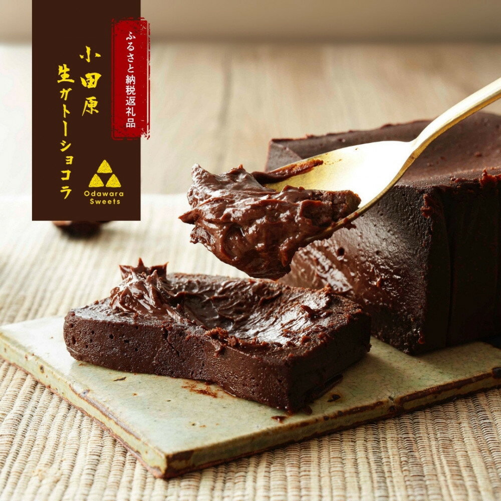 極上の口溶け。幸せの生ガトーショコラ 500g【 高級 濃厚 極上スイーツ グルテンフリー チョコ ショコラテリーヌ 高品質クーベルチュールチョコレート使用 一流シェフ 神奈川県 小田原市 】