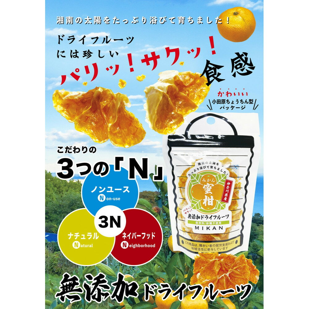 【ふるさと納税】無添加ドライフルーツ(キウイ)16g×2袋入【 神奈川県小田原市 】 サムネイル2