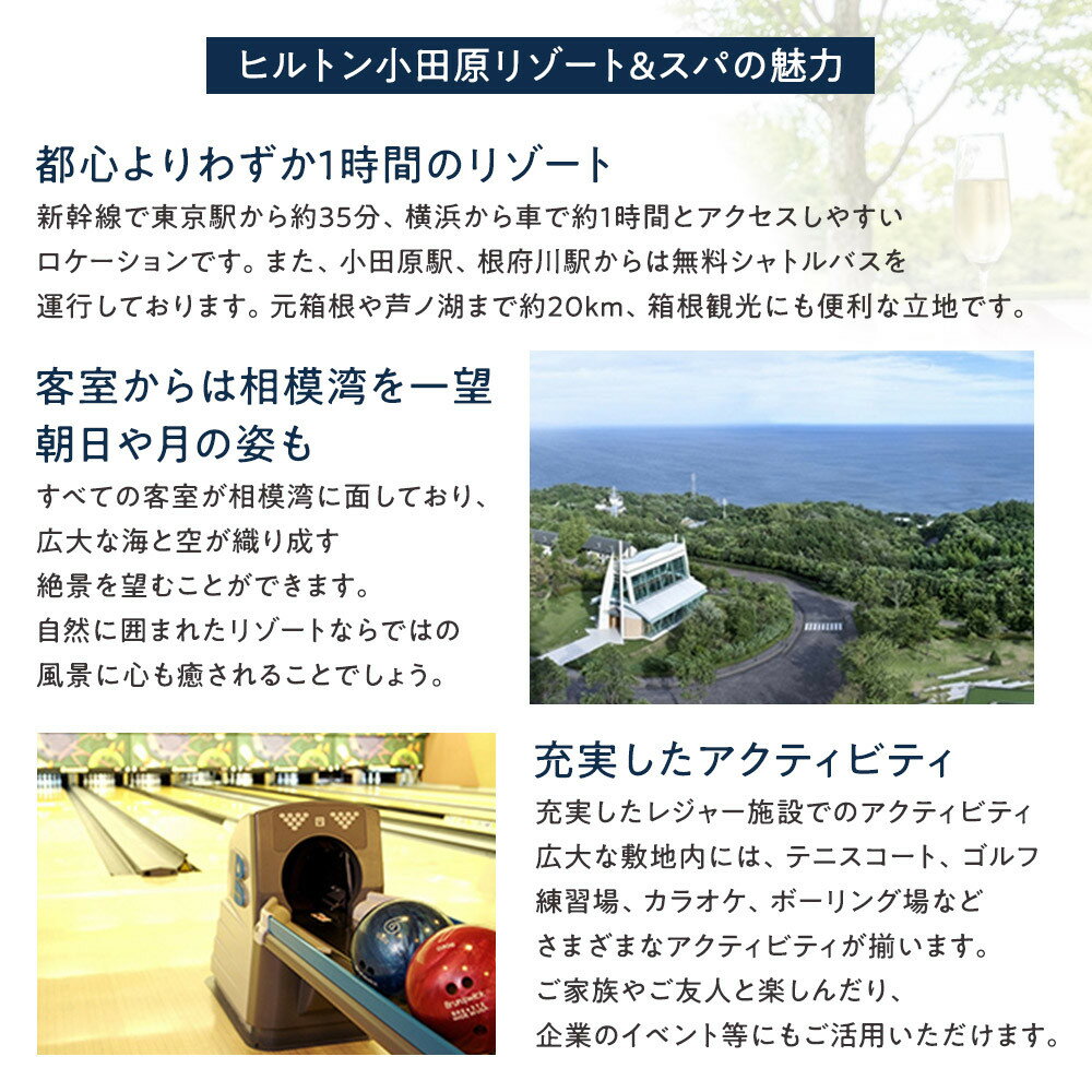 【ふるさと納税】【チケット有効期限延長！】ブラッセリー「フローラ」ランチブッフェ招待券【ヒルトン ブッフェ　ブラッセリー「フローラ」 1組2名様 招待券 食事 肉 魚 野菜 デザート プレゼント 記念　旅行 ヒルトン小田原 ご褒美 神奈川県 小田原市 】 - 画像3