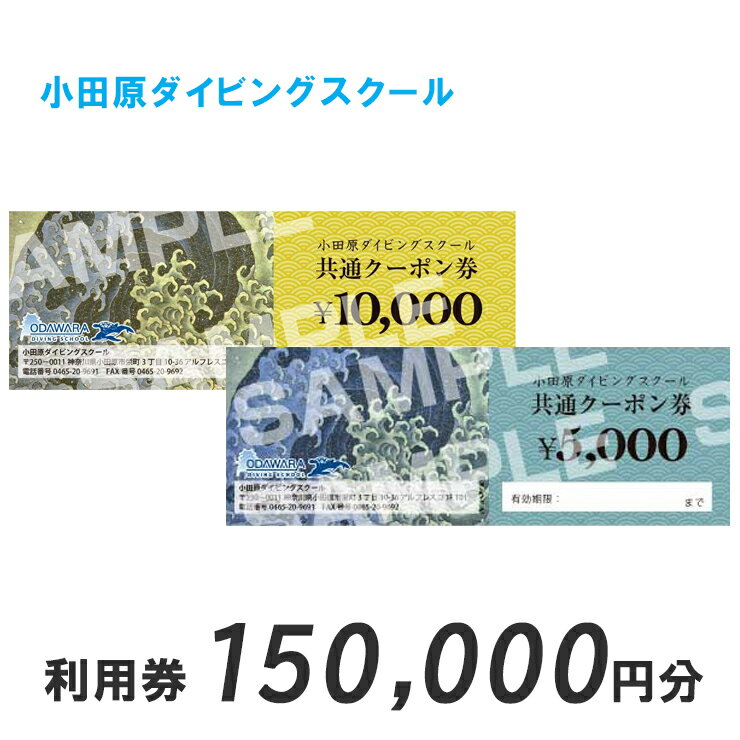 小田原ダイビングスクール 共通クーポン券 150,000円分 | 150,000円分クーポン券 小田原でダイビング ダイビングスクール 1万円クーポン券15枚 ライセンス講習 ダイビングライフ 神奈川県 小田原市