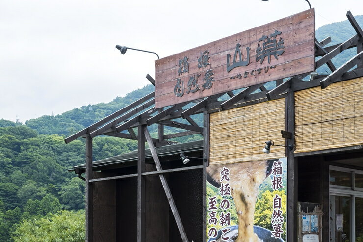【ふるさと納税】お店の味をご家庭で。【箱根自然薯の森 山薬】自然薯セット(2～3人前×2回分)【とろろ 極上とろろ 山芋 箱根 お家用 家庭用 国産 セット商品 自然薯 神奈川県 小田原市 】 - 画像3