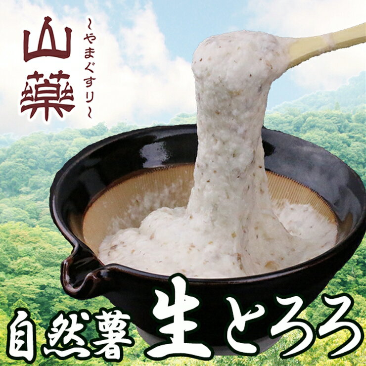 自然薯の味をお楽しみください。自然薯生とろろ100g×5pセット【とろろ 極上とろろ 山芋 箱根 お家用 家庭用 国産 セット商品 自然薯 味付とろろ 神奈川県 小田原市 】